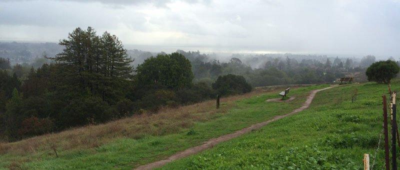 Santa Cruz Sales Cultivation Lawyer
