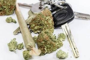 Santa Cruz marijuana DUI defense lawyer